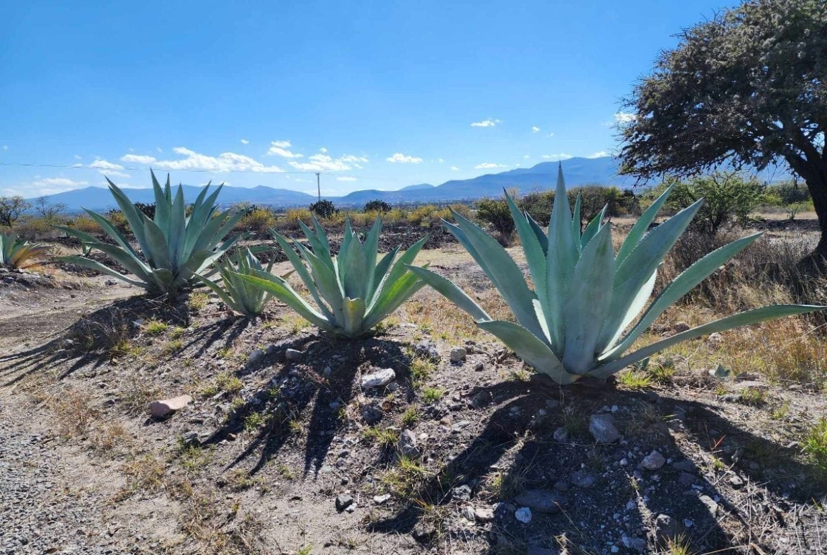 1170